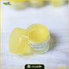 10gm Cosmetic Box For Cream, Lotion, Night Cream 12 pcs package
