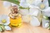 Jasmine Fragrance oil Best Quality