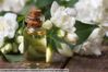 Jasmine Fragrance oil Best Quality