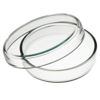 Glass Petri Dishes 100 mm for Biology Lab 1 Pair