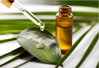 Eucalyptus Essential Oil Made in France