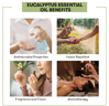 Eucalyptus Essential Oil - 100% Pure Natural Essential Oil for Aromatherapy, Hair Care, Skin Care & DIY Cosmetics | Made in India