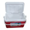 Order 4 Liter Insulated Ice Box-Vaccine Box for reliable preservation