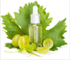 Grape seed oil at best prices