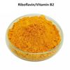 Buy Riboflavin 5 Phosphate (Vitamin B2) at best prices