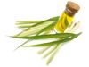 Lemon Grass Essential Oil