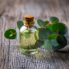 Eucalyptus Essential Oil - 100% Pure Natural Essential Oil for Aromatherapy, Hair Care, Skin Care & DIY Cosmetics | Made in India
