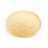 Alpha Amylase Powder 100gm