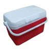 Order 4 Liter Insulated Ice Box-Vaccine Box for reliable preservation