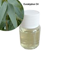 Eucalyptus Essential Oil Made in France