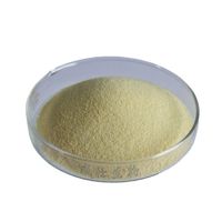 Vitamin A Palmitate Powder - 100,000 IU/g (Pharmaceutical Grade)