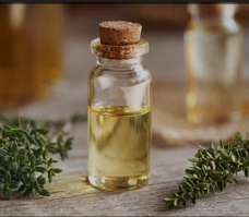 Thyme Oil: Benefits, Side Effects, and Uses