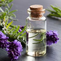 Lavender Essential Oil Made in France