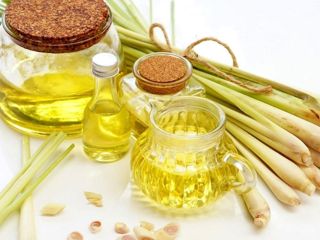 Lemon Grass Essential Oil