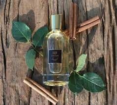 Lota Fragrance Oil - Fresh & Floral Scent for Soap & Cosmetics