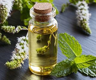 Cosmetic Grade Belly Fragrance Oil For Soap, Cream, Lotion, Shampoo, DIY etc.