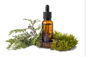 Cedarwood Essential Oil