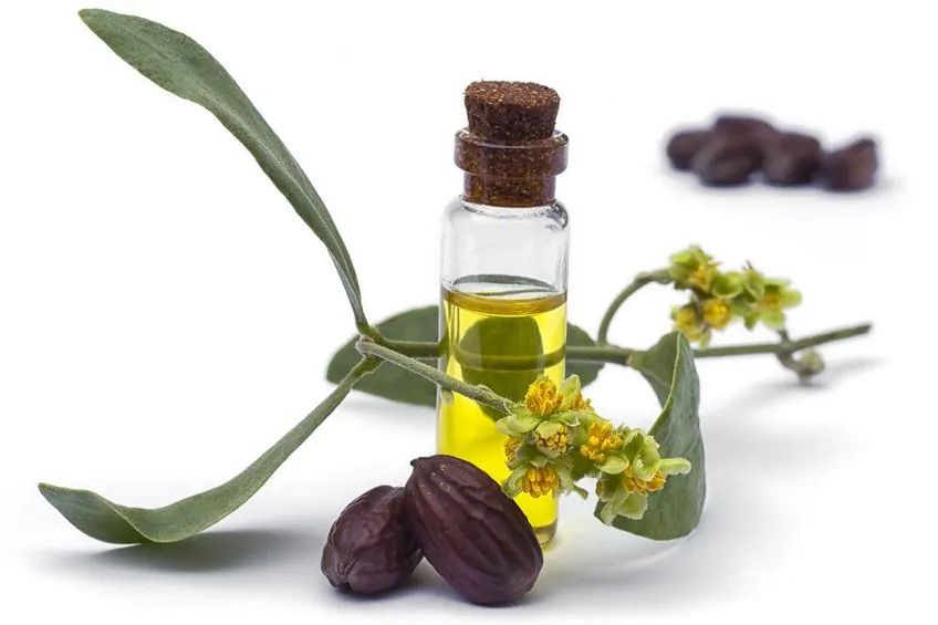 Jojoba Essential Oil Made in France