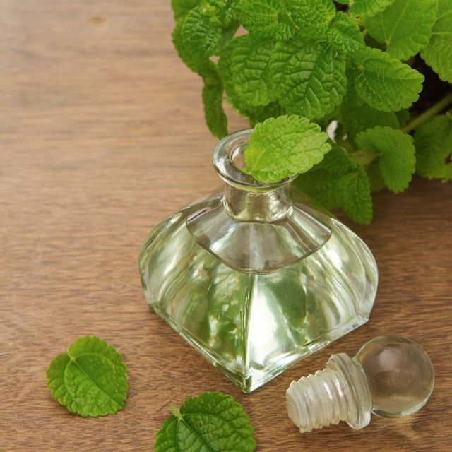 Peppermint Essential Oil Made in France