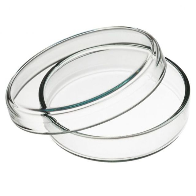 Glass Petri Dishes 100 mm for Biology Lab 1 Pair