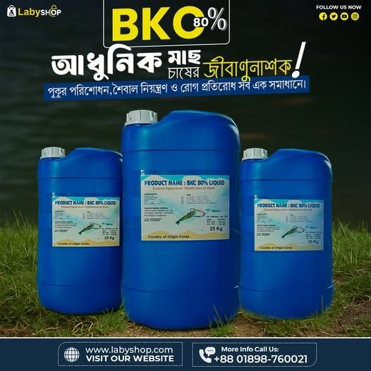 Benzalkonium chloride (BKC) - 80%